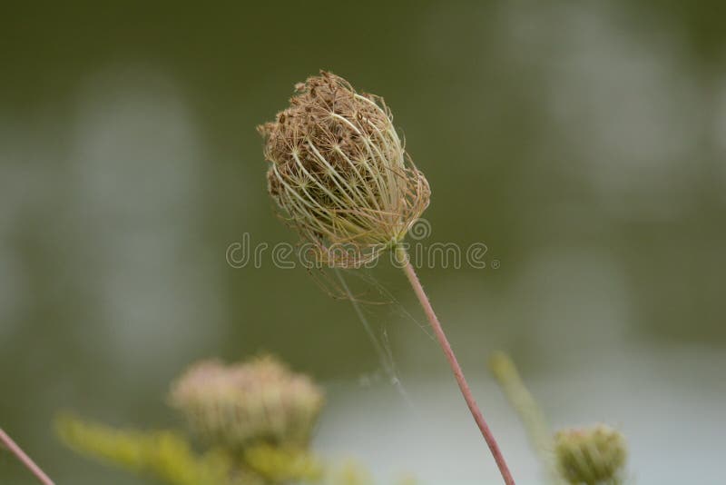 Foto token at Blacklick Park ohio stock images Foto token at Blacklick Park ohio stock images