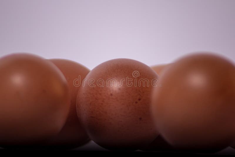 foto van kippeneieren, zeer voedzaam voedsel dat wordt gebruikt voor diverse gerechten of als ingrediënt stock foto's foto van kippeneieren, zeer voedzaam voedsel dat wordt gebruikt voor diverse gerechten of als ingrediënt stock foto's