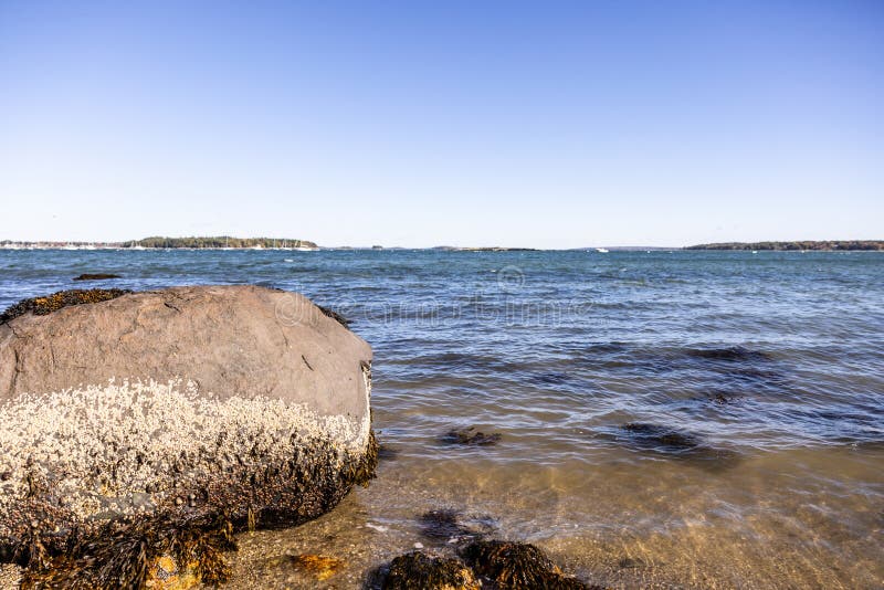 Foto von Ebbe an einem Ufer mit einem großen Felsen, dessen Unterseite mit Seepocken und Algen bewachsen ist stockfotos
