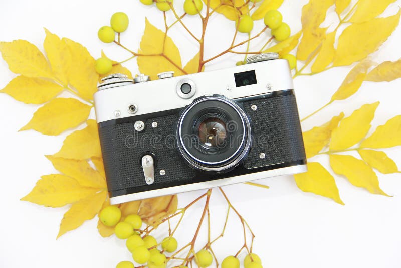 Fotocamera rara vintage con obiettivo in un caso nero e foglie autunnali gialle fotografia stock Fotocamera rara vintage con obiettivo in un caso nero e foglie autunnali gialle fotografia stock