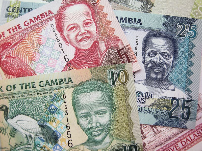 Geld von Gambia lizenzfreie stockbilder Geld von Gambia lizenzfreie stockbilder