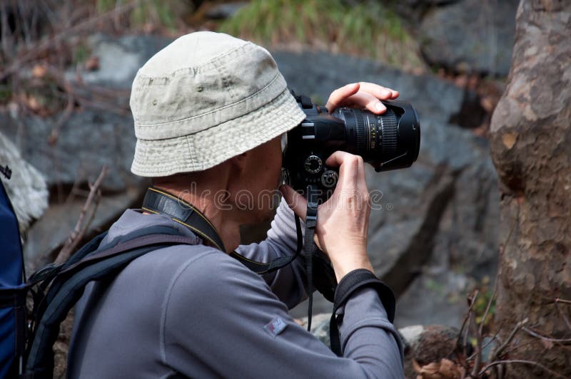 Fotografhandling i pinjeskogen av Cypern royaltyfri fotografi Fotografhandling i pinjeskogen av Cypern royaltyfri fotografi
