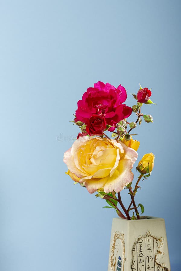 Fotografia De Um Buquê De Flores Naturais De Rosas Vermelhas E Amarelas Num  Vaso Feito à Mão Num Fundo Azul a Fotografia Tem Cópia Imagem de Stock -  Imagem de especial, naughty: