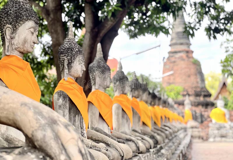 a photography of a row of buddha statues with orange robes, statues of buddhas line a wall in a row. a photography of a row of buddha statues with orange robes, statues of buddhas line a wall in a row.