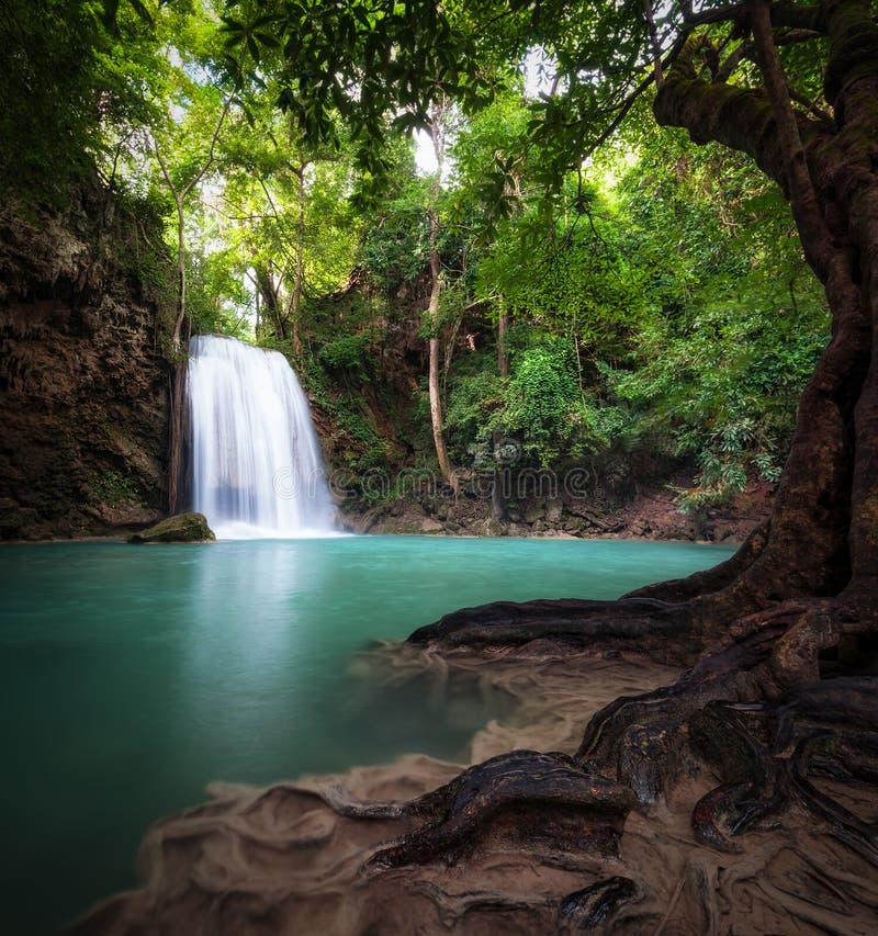 Cachoeira na selva da floresta pode ser usada como fundo de