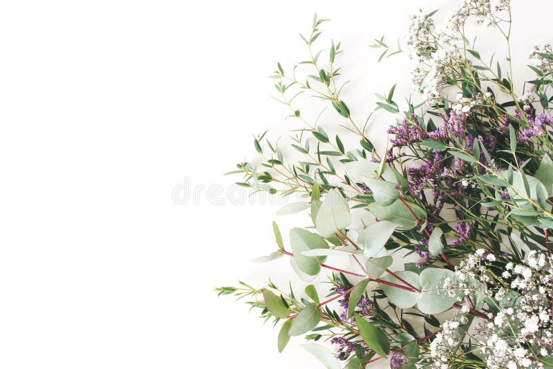 Fotografie de aniversare a nunții. compoziția florală a scenei feminine. o grămadă de ramuri eucalipt babys respirație stock photos