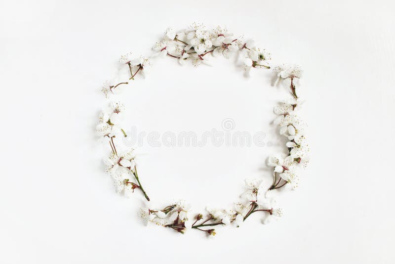 Fotografie stoc stilată. compoziția florală a scenei feminine de Paști de primăvară. coroana rotundă făcută din flori de prun royalty free stock photography