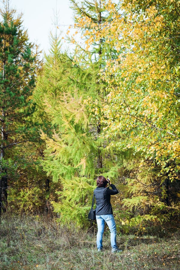 Fotografo della natura sul lavoro immagini stock libere da diritti Fotografo della natura sul lavoro immagini stock libere da diritti