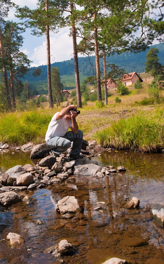Bosque Misterioso, HoiaBaciu, Rumania Imagen de archivo Imagen de