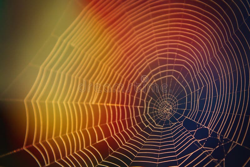 Fotografía abstracta de la naturaleza del web de araña en la luz del sol con muchos colores imagen de archivo libre de regalías Fotografía abstracta de la naturaleza del web de araña en la luz del sol con muchos colores imagen de archivo libre de regalías
