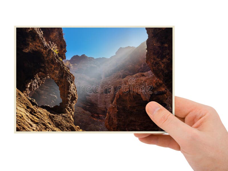Fotografía amarilla de Tenerife disponible foto de archivo libre de regalías Fotografía amarilla de Tenerife disponible foto de archivo libre de regalías