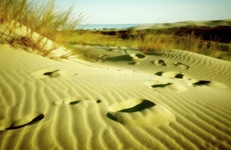 Footprints in the sand. Olded & blured. Footprints in the sand. Olded & blured.