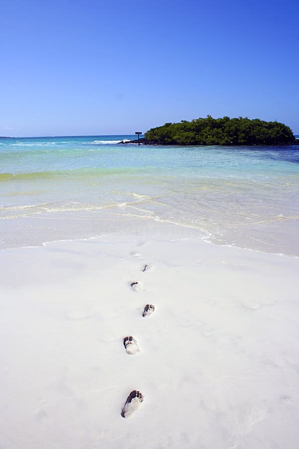 An image of footprints in the sand leading out to sea over a tropical white sandy beach. An image of footprints in the sand leading out to sea over a tropical white sandy beach