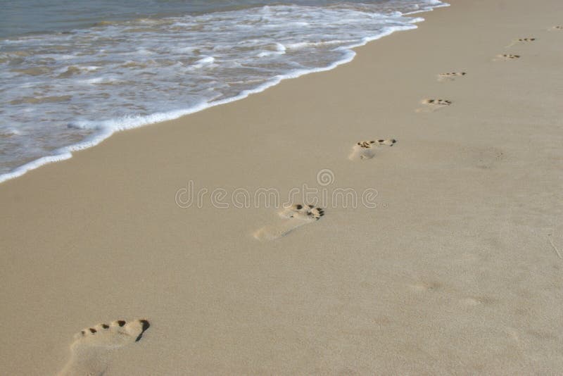 Footprints in the sand at beach with waves in background. Footprints in the sand at beach with waves in background