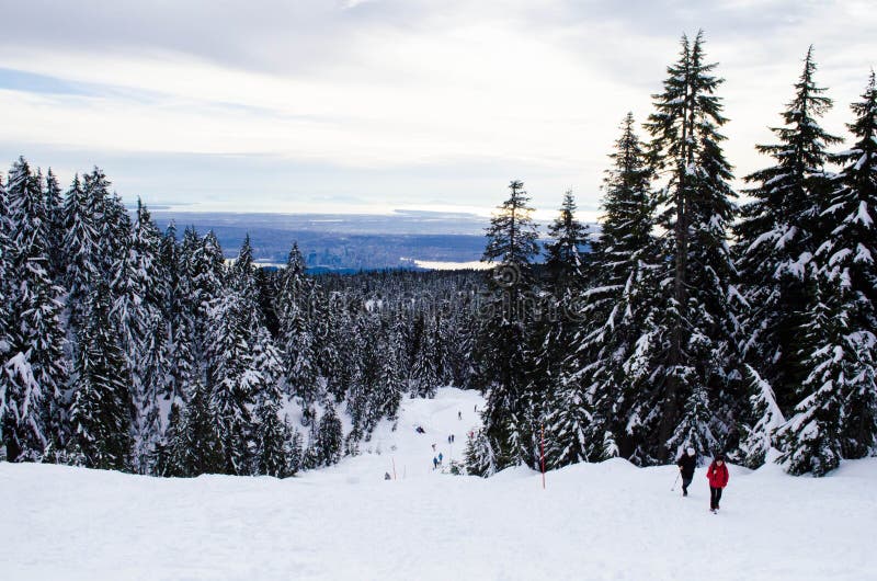Fotvandrare på det snöig berget i Vancouver royaltyfri foto Fotvandrare på det snöig berget i Vancouver royaltyfri foto
