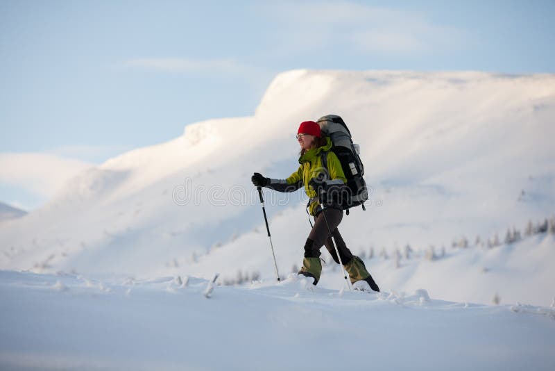Fotvandrare som går i Carpathian berg för vinter fotografering för bildbyråer Fotvandrare som går i Carpathian berg för vinter fotografering för bildbyråer