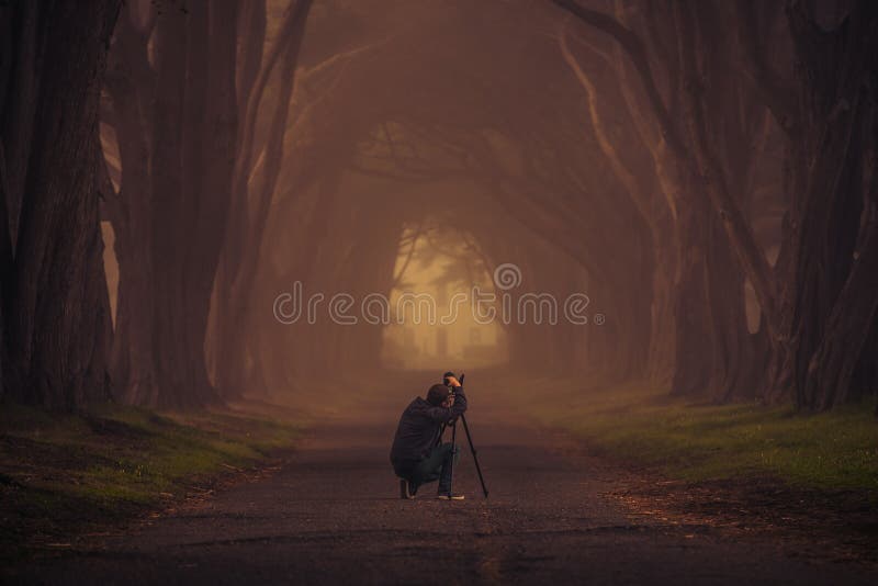 Fotógrafo Ambicioso fotos de stock