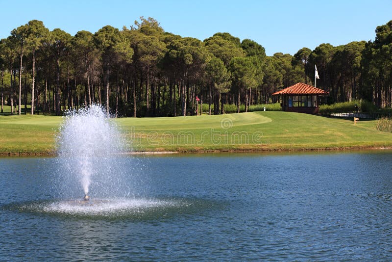 Fountain in the artificial pond.