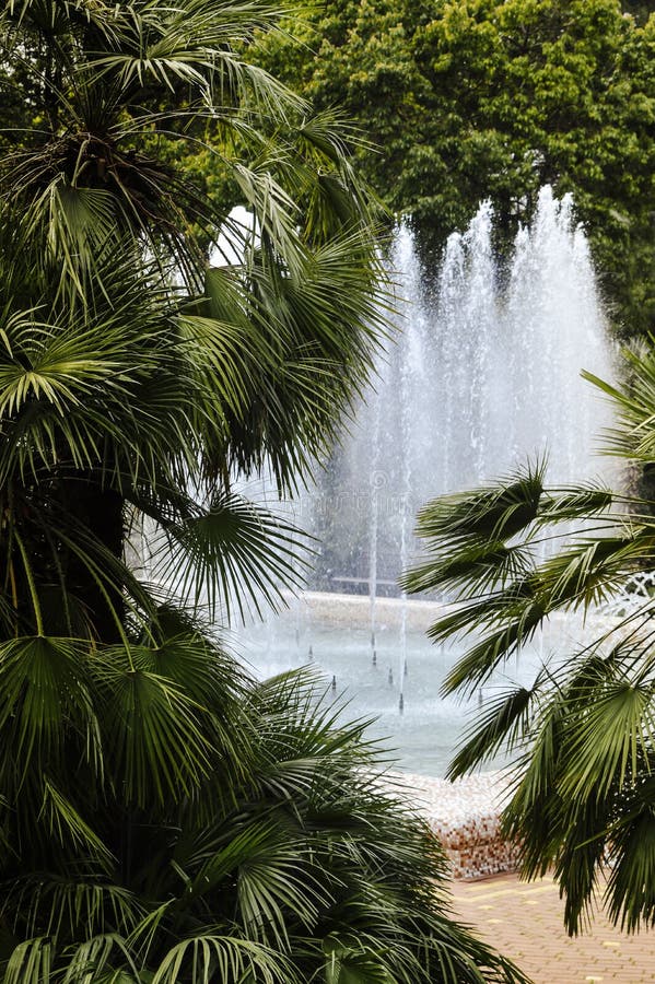 Fountain in the green park stock image. Image of bushes 86156491