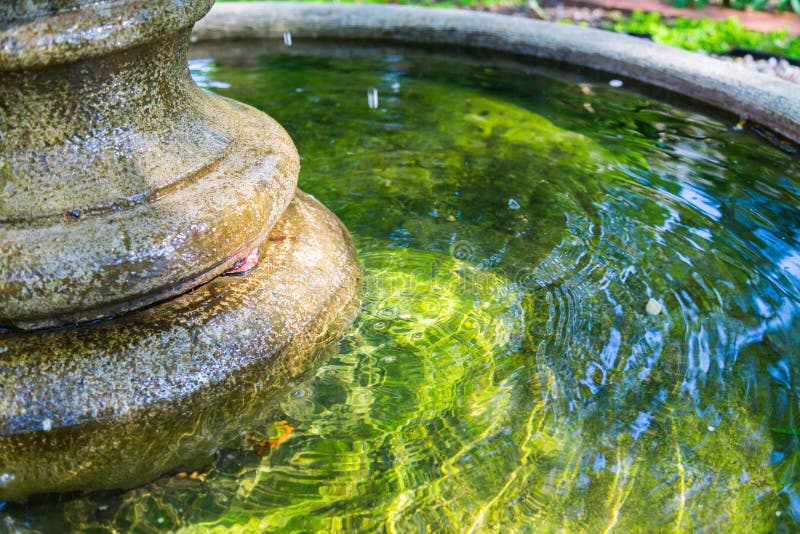Fountain with Peaceful Green Water. Stock Image Image of pool, float