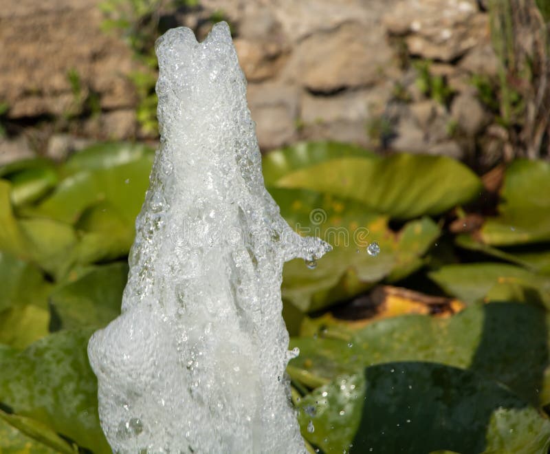 A Fountain and Some Water Lilies in the Park Stock Photo Image of