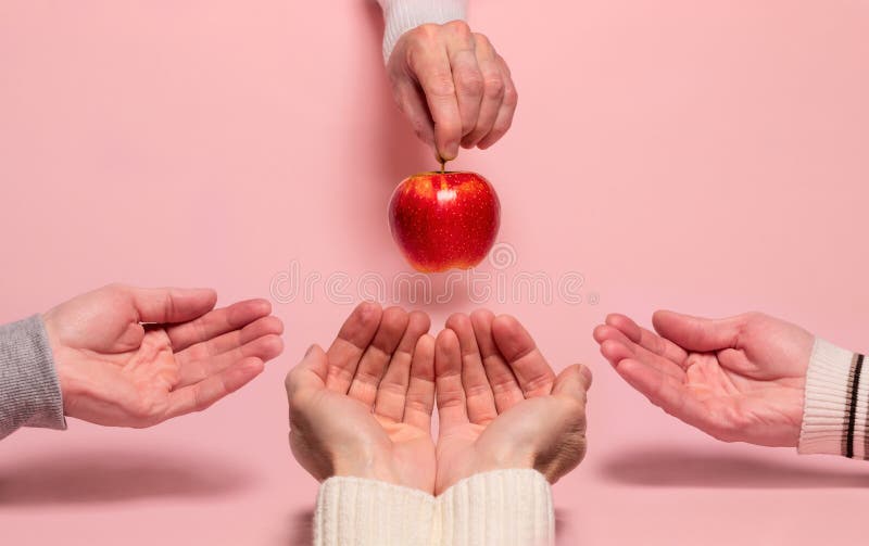 Four Arms are Outstretched in the Direction of a Single Apple. the