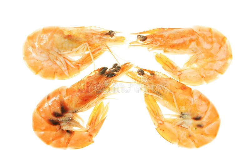 147 Crevette Prawns Photos Free Royalty Free Stock Photos From Dreamstime