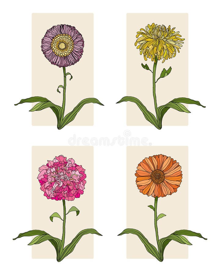 Four Flowers