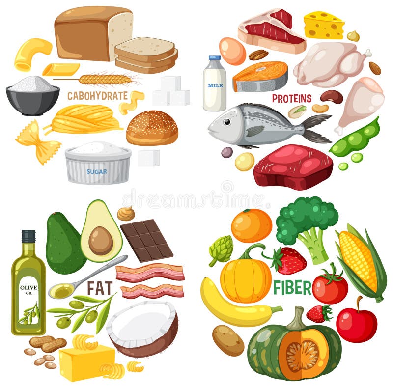 The Four Food Groups Stock Vector Illustration Of Obese 266649849 the-four-food-groups-stock-vector-illustration-of-obese-266649849