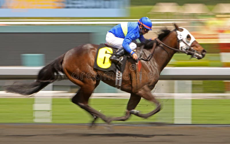 Four Hooves Off the Ground editorial photography. Image of action