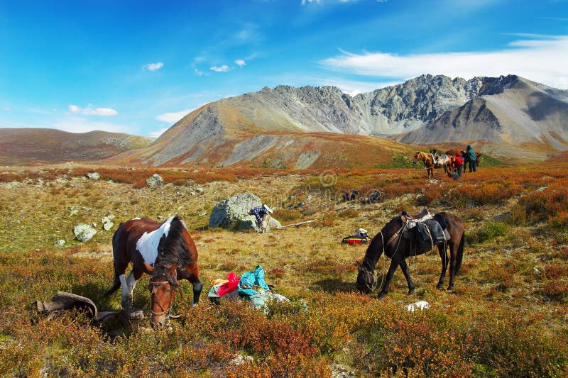 Four horses, two men, girl and mountains.