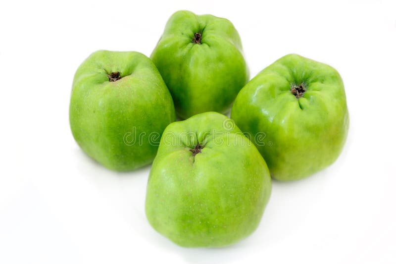 Four Isolated Green Organic Cooking Apples Stock Image Image of natural, four 7137303