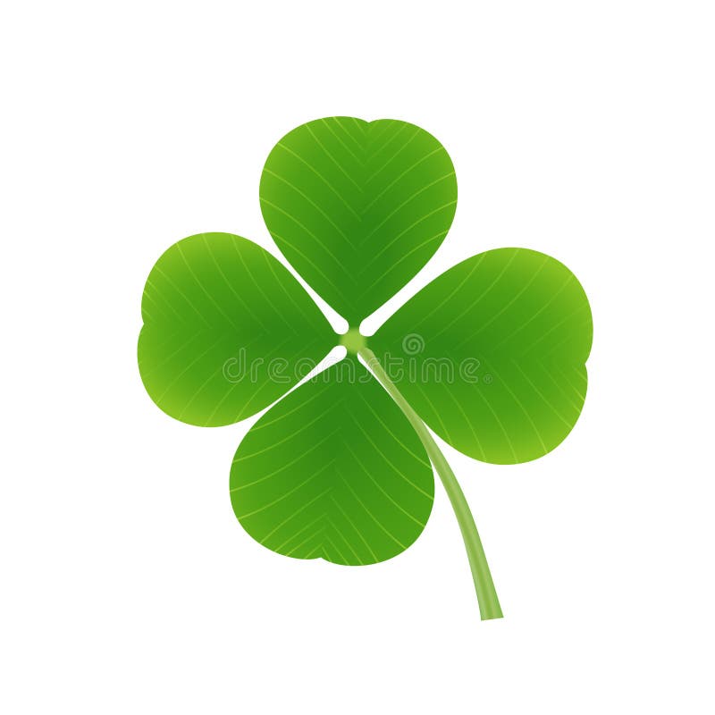 Four leaf clover vector illustration Four leaf clover vector illustration