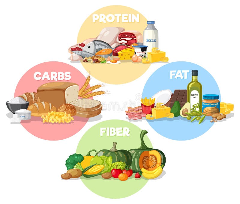 The Four Main Food Groups Stock Vector Illustration Of Design 266159580 the-four-main-food-groups-stock-vector-illustration-of-design-266159580