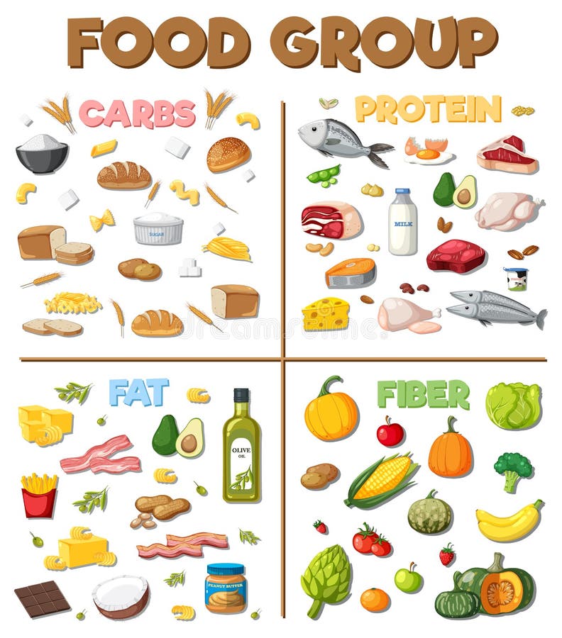 Cartoon Food Groups the-key-to-proper-nutrition-a-balanced-diet-infographic-balanced