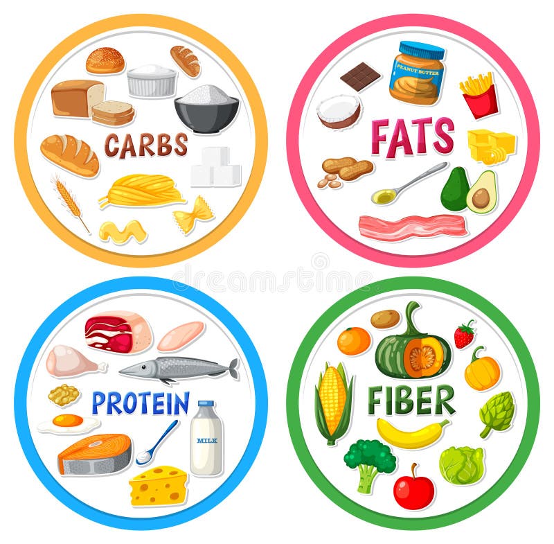 The Four Main Food Groups Stock Vector Illustration Of Template the-four-main-food-groups-stock-vector-illustration-of-template