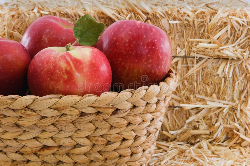 Four red apples in a basket with rustic straw