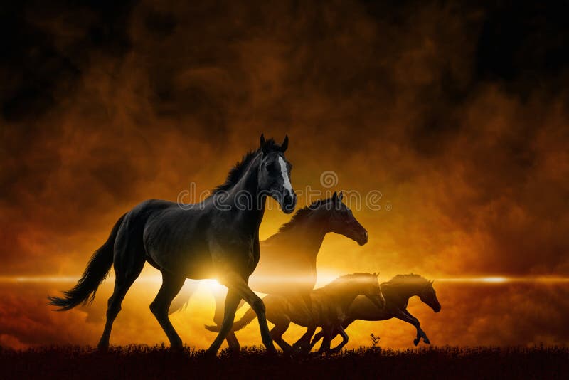 Dramatické apokalyptické pozadí běží čtyři černé koně, červené zářící mraky.