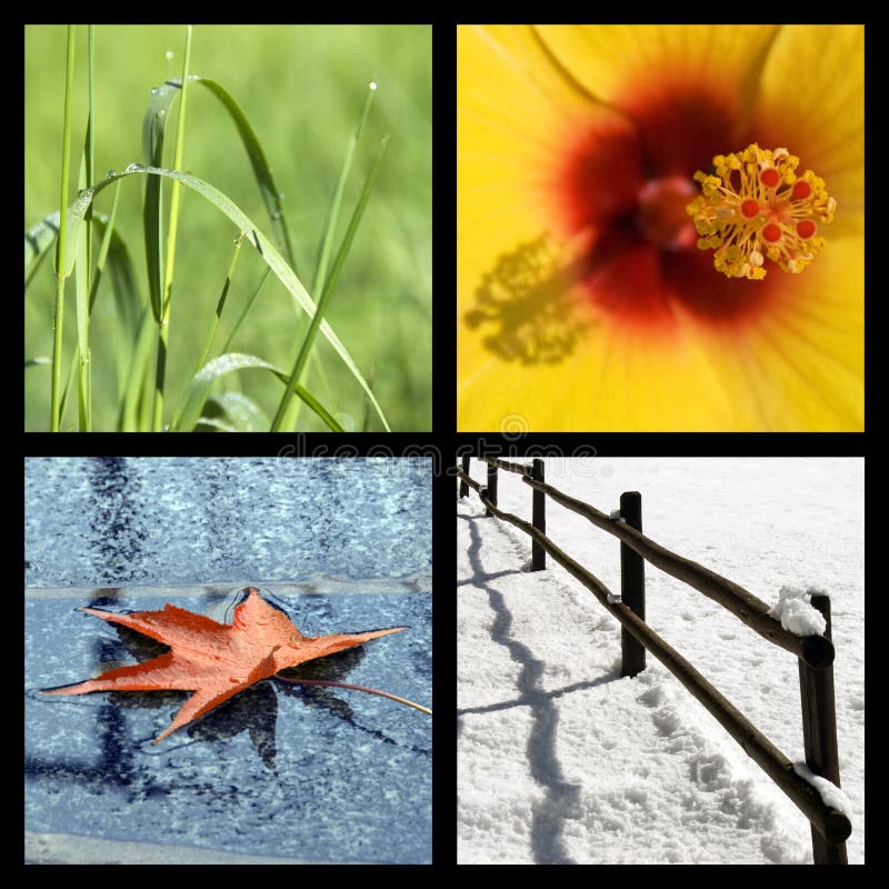 Collage di quattro immagini che rappresentano ogni stagione, la primavera, l'estate, l'autunno e l'inverno, la natura per le stagioni di sfondo.