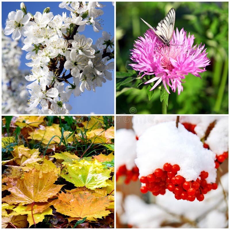 winter four seasons winter four seasons