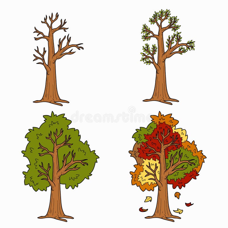 Four Seasons, vector set of trees royalty free illustration