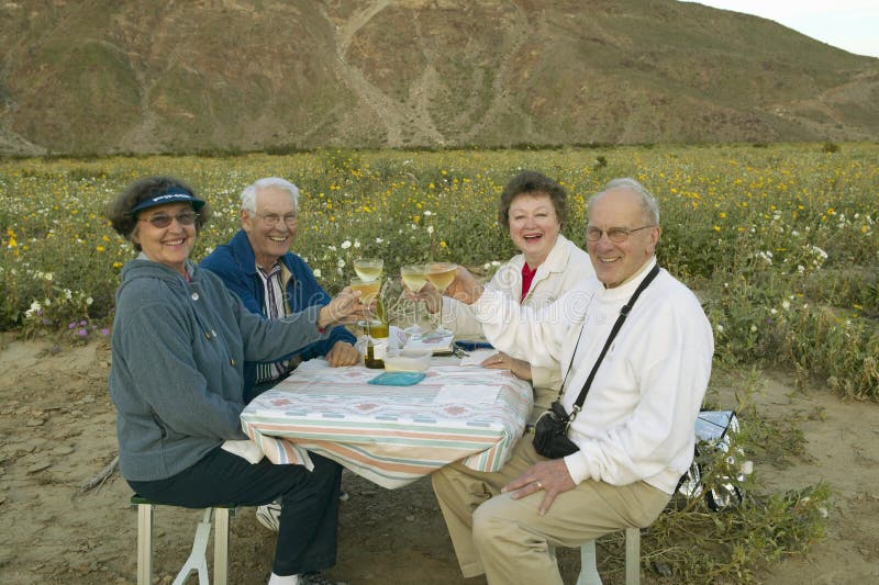 Four senior citizens drinking white wine. In field of spring desert gold yellow flowers near Henderson Road in Anza-Borrego Desert State Park, CA stock photography Four senior citizens drinking white wine. In field of spring desert gold yellow flowers near Henderson Road in Anza-Borrego Desert State Park, CA stock photography