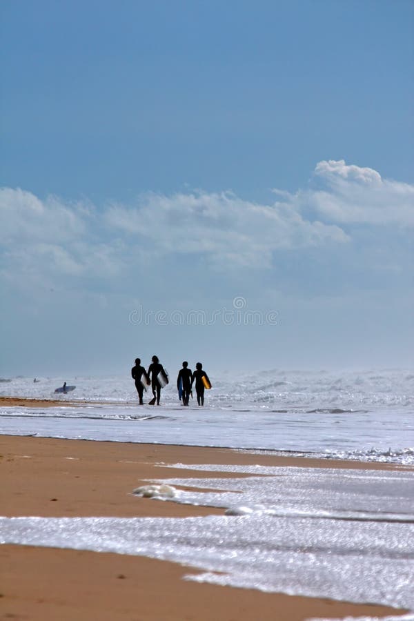 Four surfers