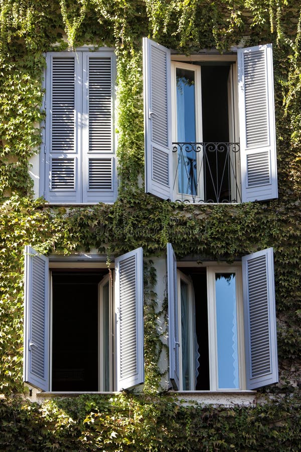Four windows. Building facade entirely covered with ivy.