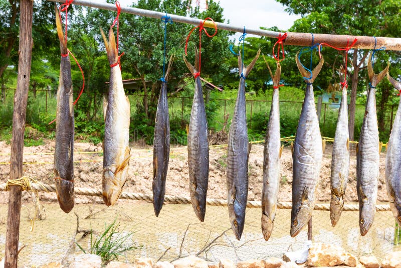 Fourfinger Threadfin or Indian Salmon and King Mackerel Dried Fish