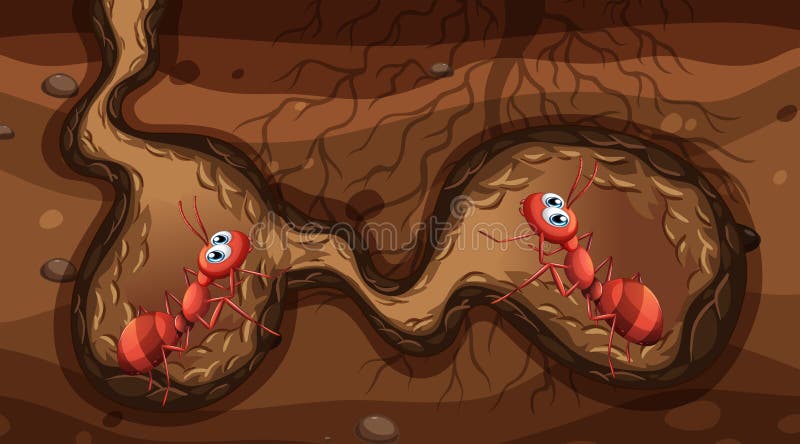 Fourmis de feu dans le nid illustration libre de droits Fourmis de feu dans le nid illustration libre de droits