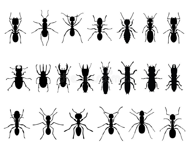 Fourmis et termites illustration stock Fourmis et termites illustration stock