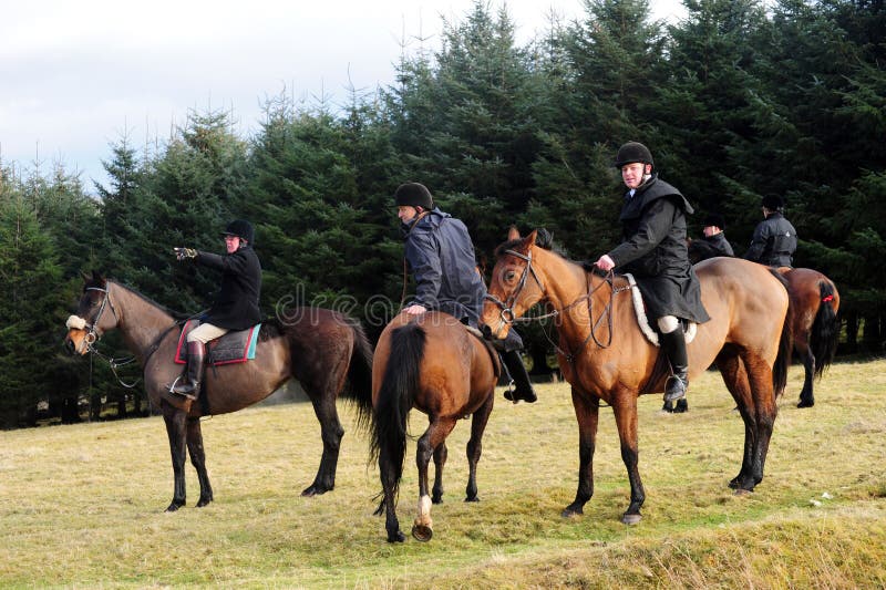 Fox hunting editorial stock image. Image of hounds, sports 24242324