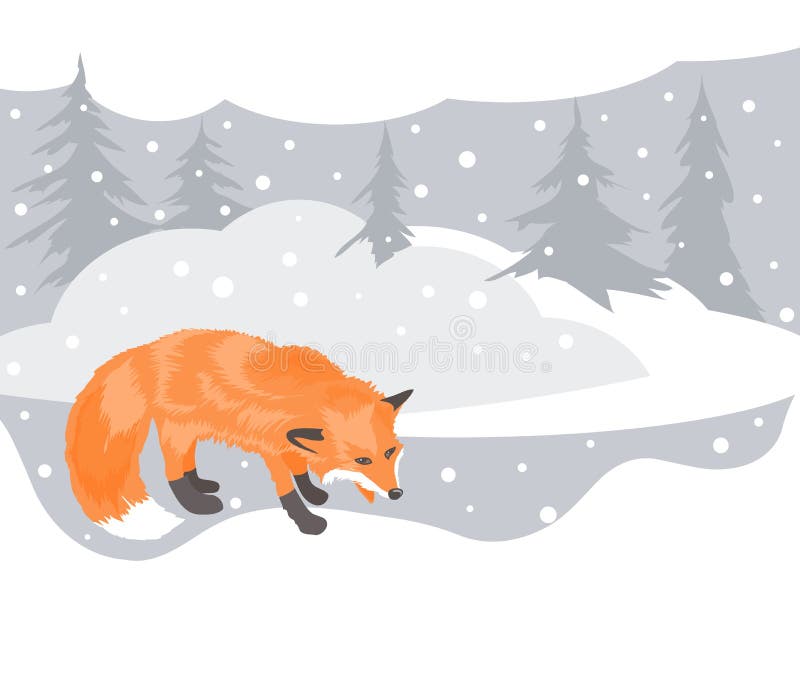 Fox and winter landscape