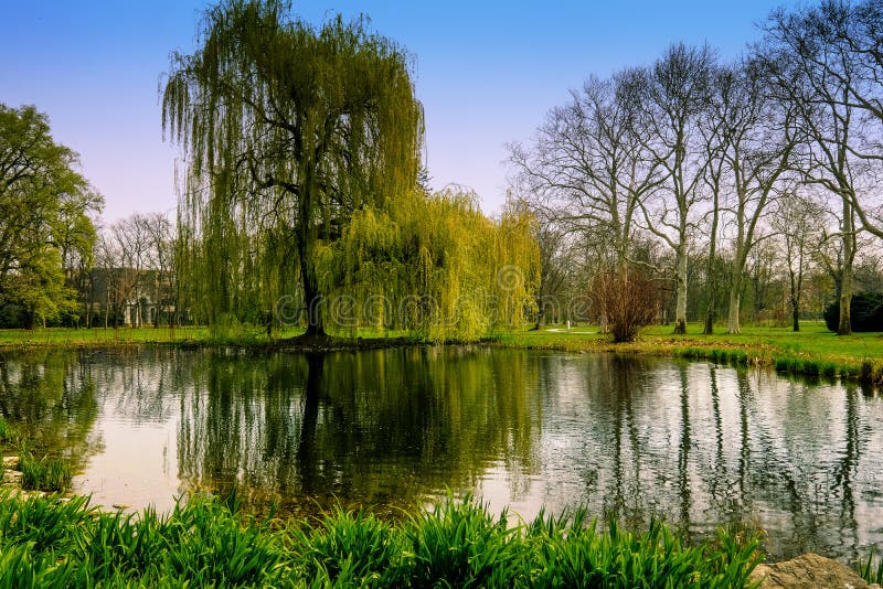 Fr?hling im Park lizenzfreies stockfoto Fr?hling im Park lizenzfreies stockfoto